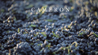 Cameron Winery 2012: A Year in the Making