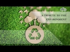 An Eco-friendly Junk Removal Service in Minneapolis MN