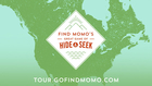 Find Momo Book Tour