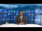 ESAT Breaking  News Ethiopian military cargo plane crashes Aug 09 2013