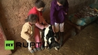 Moroccans flock to see two-headed calf