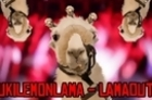 Lamaoutai - Oukilemonlama (Music Video)
