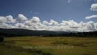 Ziro rice plains and beautiful clouds: Timelapse in Ziro