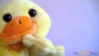 Cute Talking Yellow Duck Birthday Wishes_DoVideoNow